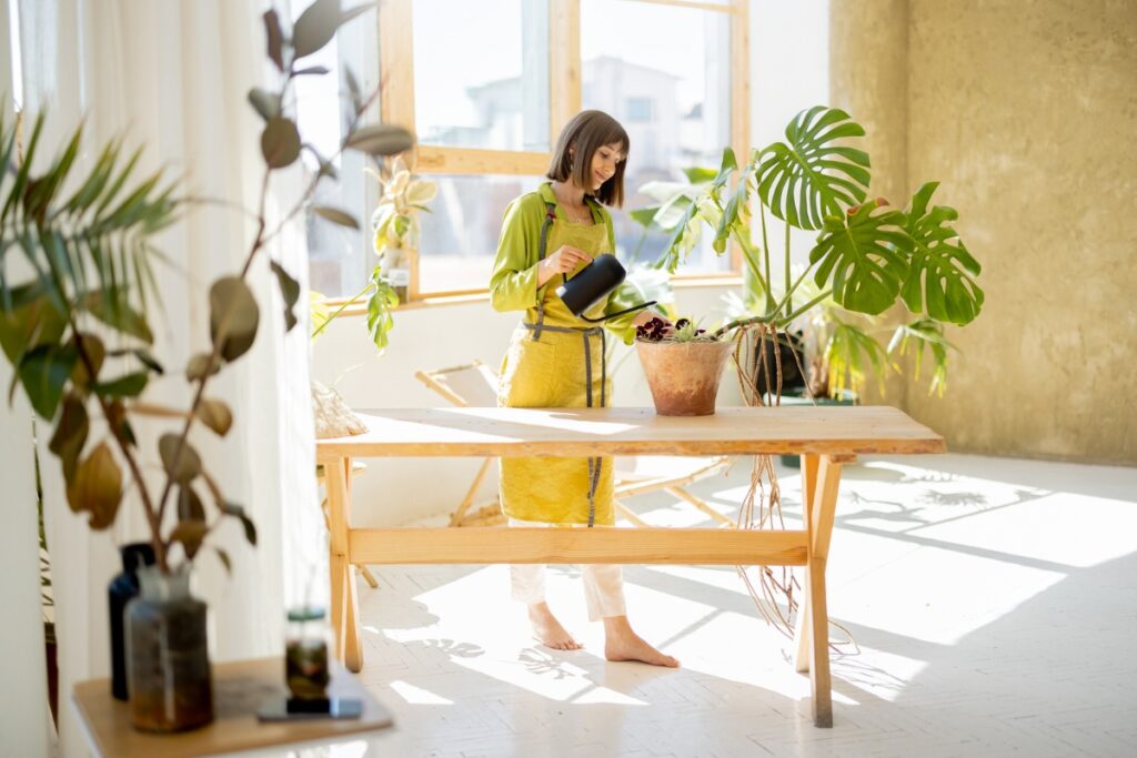 Add plants and greenery into the space